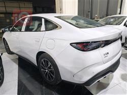 بي واي دي سيل 06 DM-i